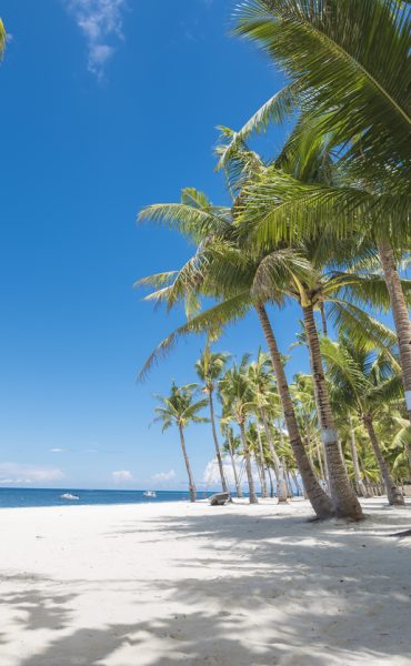 Panglao Bohol Filipijnen