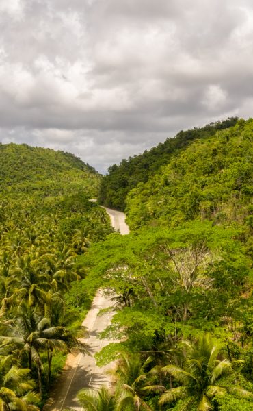 Landscape of green palm trees with road on Siargao Island, Philippines